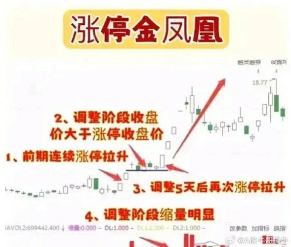 鳳凰B股，鳳凰B股股吧